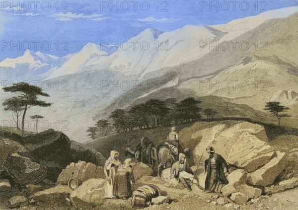 Mount Lebanon. Cedars. Engraving by Ransonnette. Later colouration. ""La Tierra Santa y los lugares recorridos por los profetas, por los apostoles y por los cruzados"" (The Holy Land and the sites traversed by the prophets, by the apostles and by the crusaders). Published in Barcelona by the printing house of Joaquin Verdaguer, 1840.