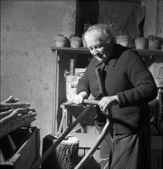Old woman sawing firewood, 1954