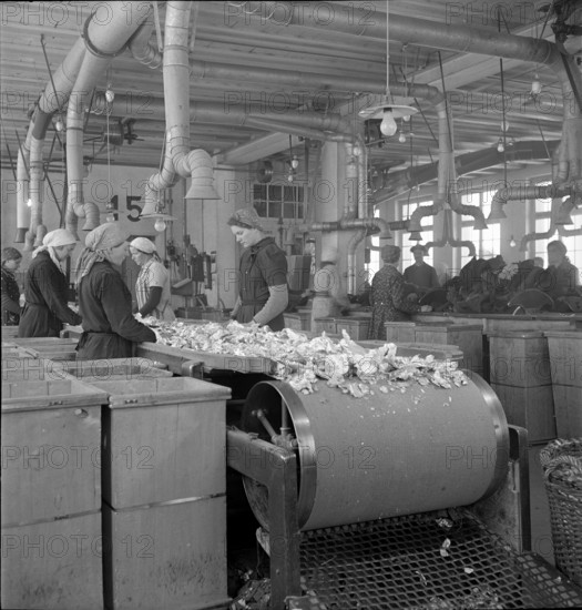 WW2: War economy; processing of tin foil