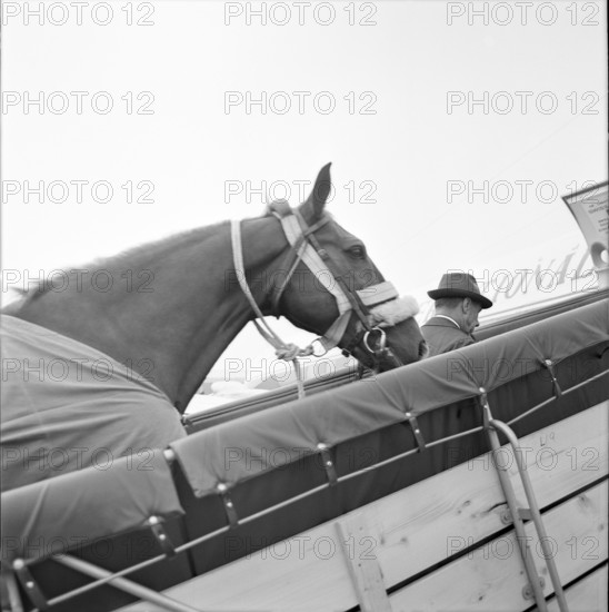 Tokyo Olympics 1964: Departure of the Swiss equestrian team, ZurichKloten Airport