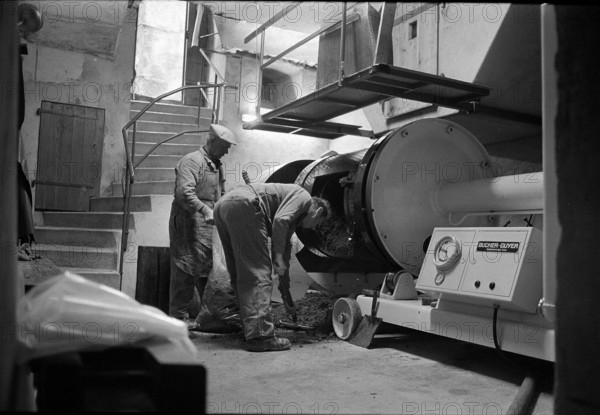 Winemaker in Epesses; 1971