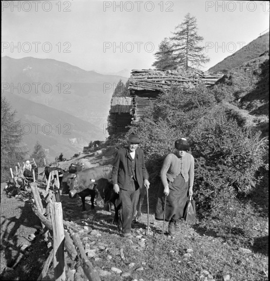 Alpine ascent in Valais, 1942