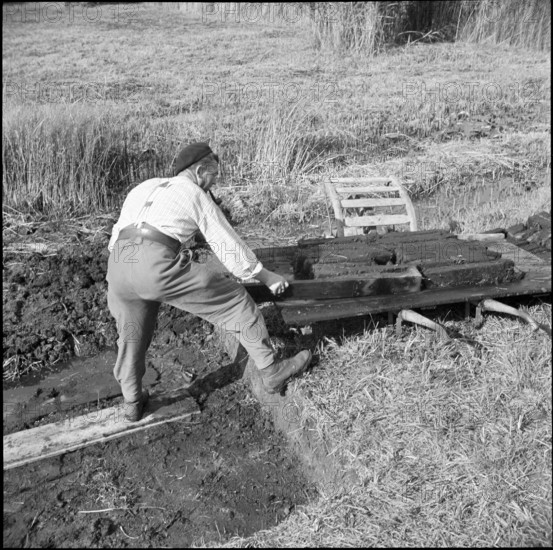 Internees from Alsace; Alsatians cutting peat, peat briquettes; 1940