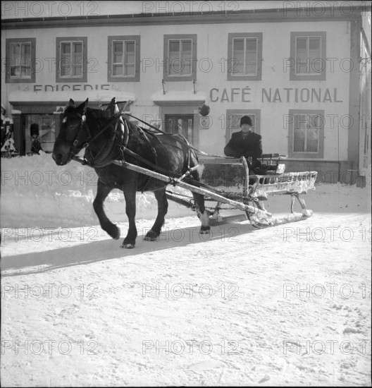 Coachman, La Brévine 1951