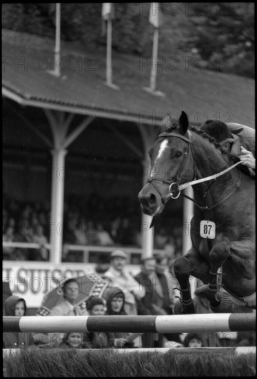 CSIO Lucerne 1974: Tjeerd Velstra on The Country Man