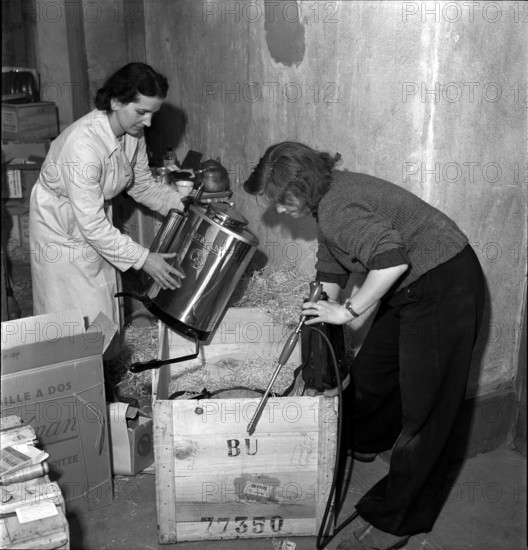 Women packing relief supplies for the SwissYugoslavian Medical Mission, 1944
