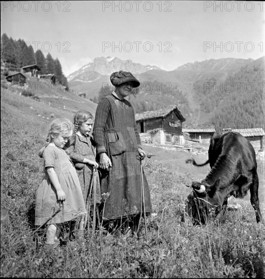 Woman and girl herding cattle on the Sommeralp, Valais 1942