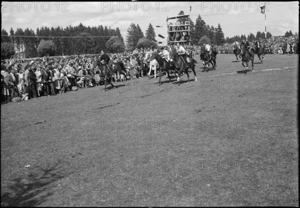 49th Marché Concours Saignelégier, 1952