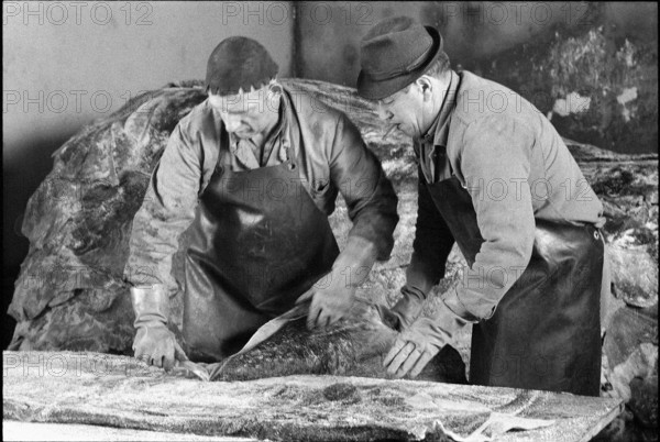 Last tannery in Romandy, 1973