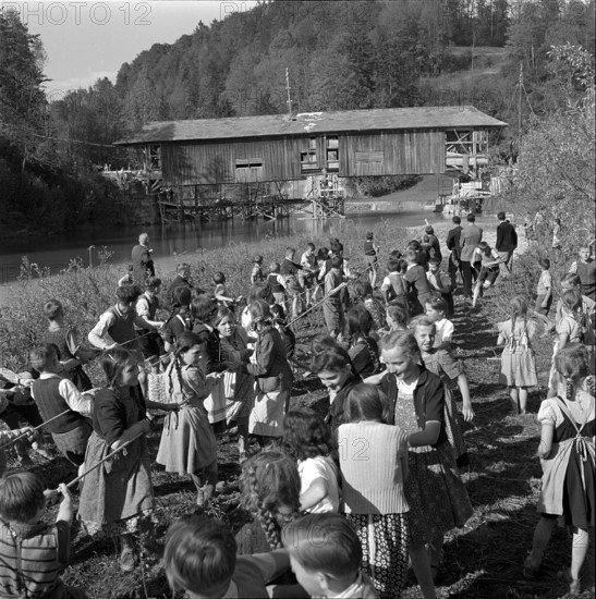 Children help move an old wooden bridge; 1952