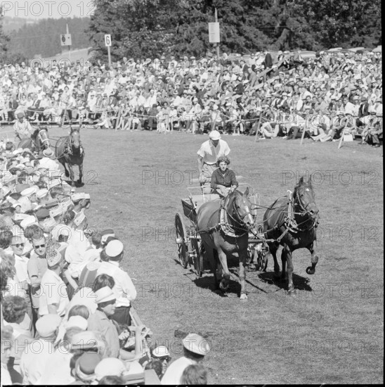 60th MarchéConcours Saignelégier, pair, 1963