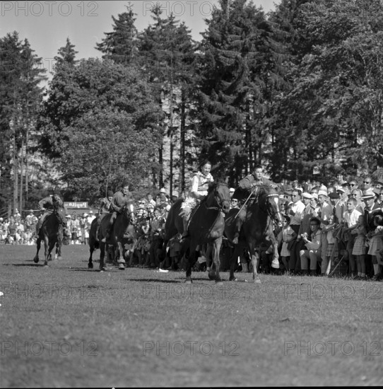 60th Marché Concours Saignelégier, 1963