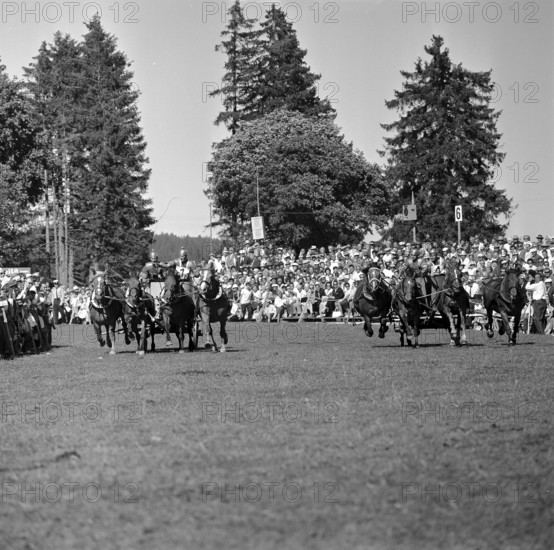 60th MarchéConcours Saignelégier, Roman car, 1963