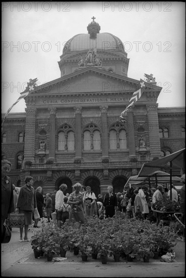 Geranium market on the Bundesplatz, Bern 1966