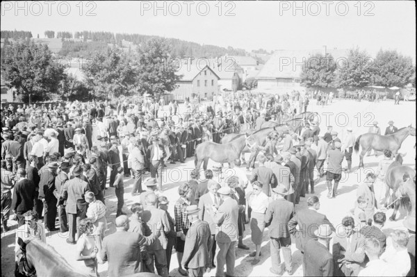 60th Marché Concours Saignelégier, 1963