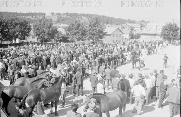 60th Marché Concours Saignelégier, 1963