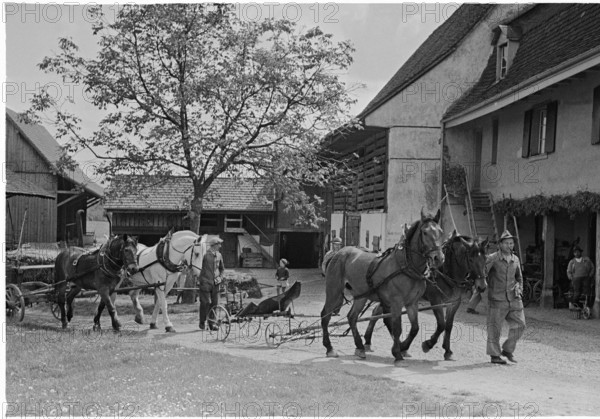 WWII: Swiss farmer on the French border, Basel 1945
