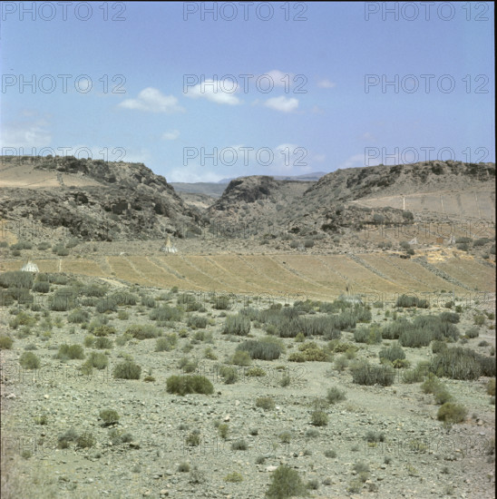 Volcanic landscape on Tenerife 1970