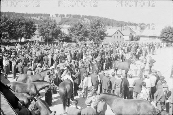 60th Marché-Concours Saignelégier, 1963