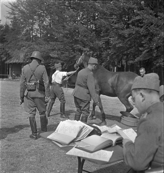 Horse is brought to examination. 1939