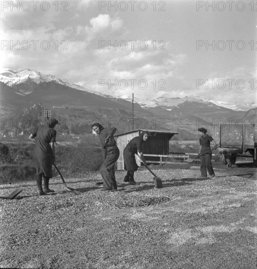 Chandoline , women working in coal mine. 1942
