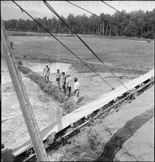 WW 2: land improvement by Lake of Neuchatel, 1944