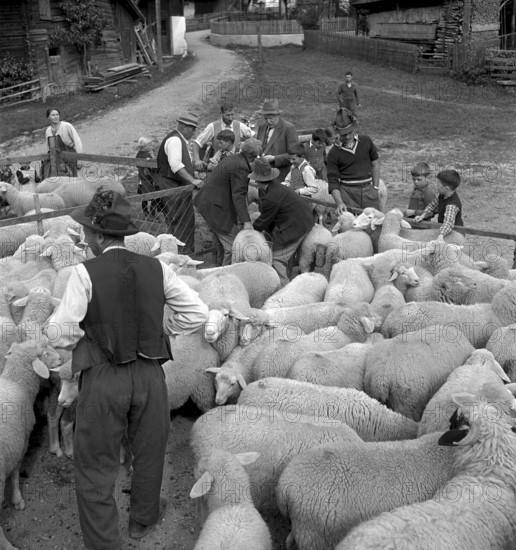Lausanne. Innovation employees at firm's party. 1944