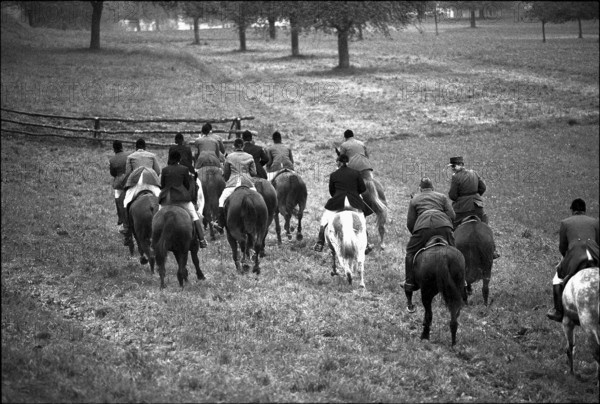 Hunting wild boars in Elgg, 1950