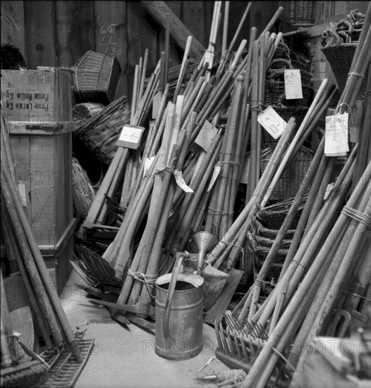 Hay harvest in the mountain village Isenfluh, 1959