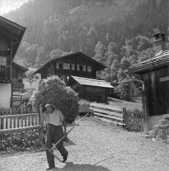 Autumnal hunting in Elgg, 1958