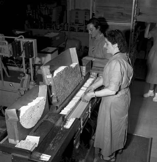 Cigarette factory Brunette, 1952