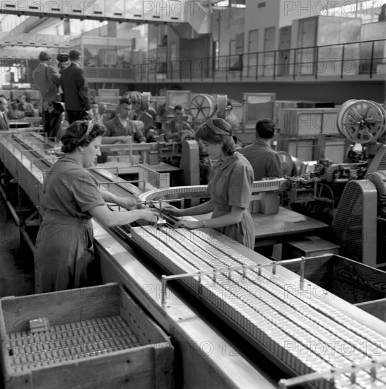 Producing cigars, 1952