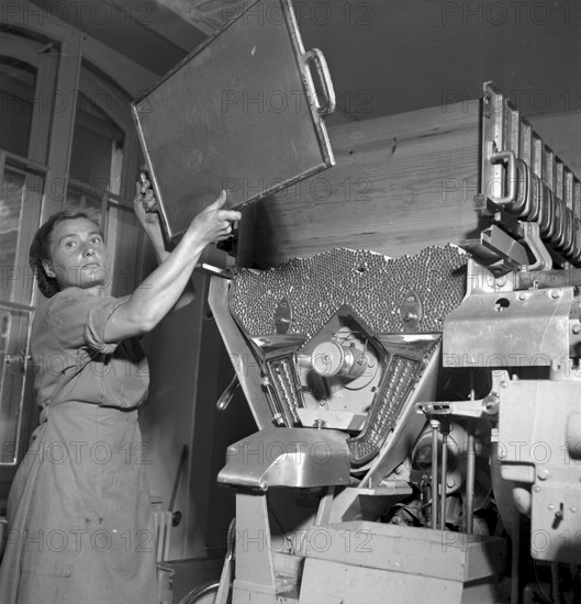 Cigarette factory Brunette, 1952