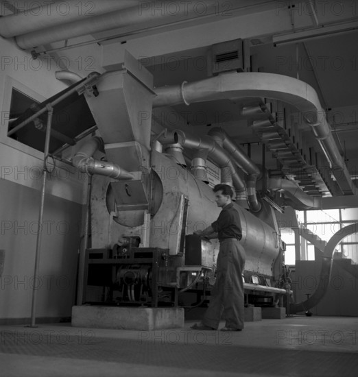 Cigarette factory Brunette, 1954