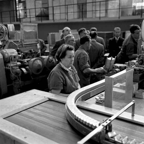 Producing cigars, 1952