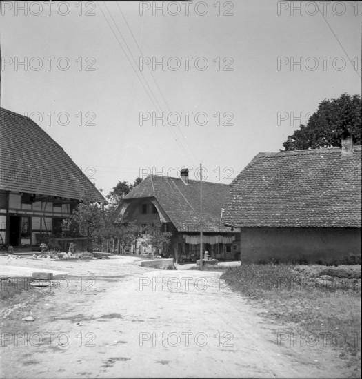Lützelflüh, farmhouse, plough on a field, 1954