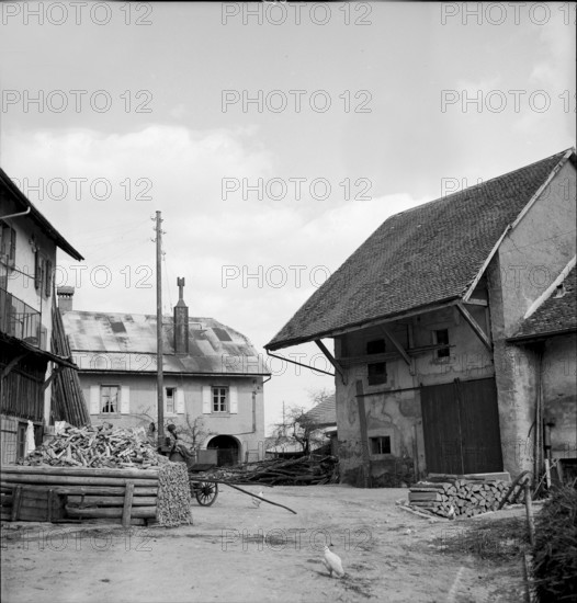 Morbio Superiore, Horse Drawn Carriage in front of the post office, 1947
