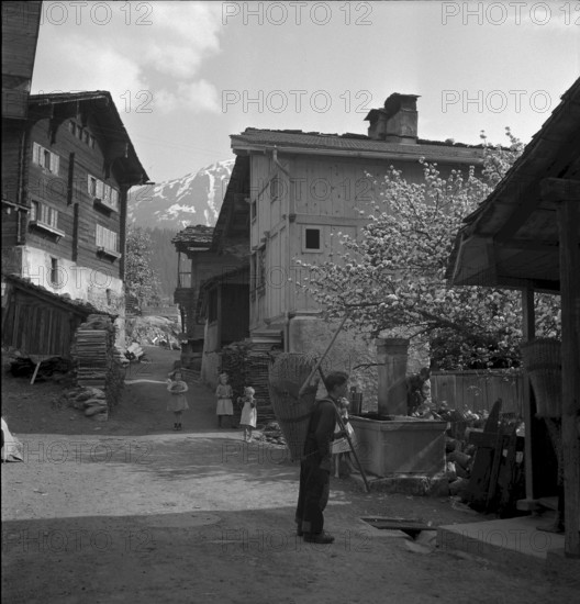 Olten 1953