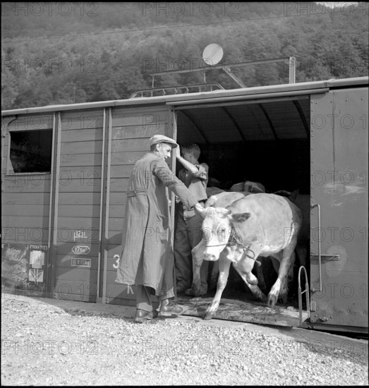 Sheep shed and granary in Randa VS 1973