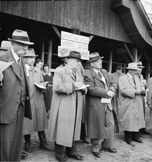42nd MarchéConcours Saignelégier, jury, 1945