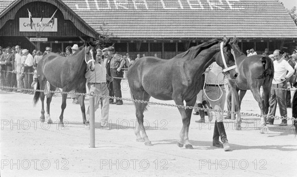 69th Marché Concours Saignelégier, 1972