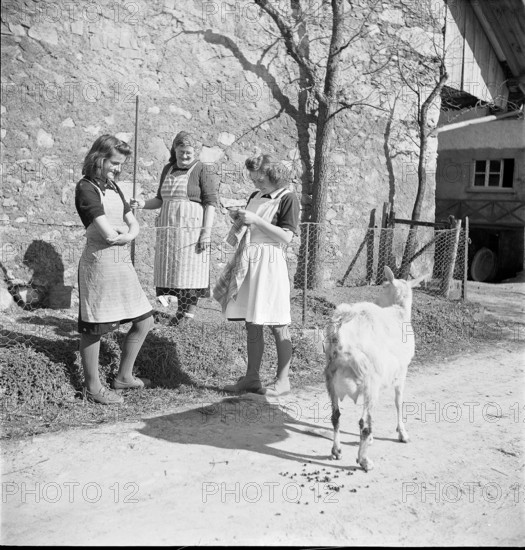 Agriculture