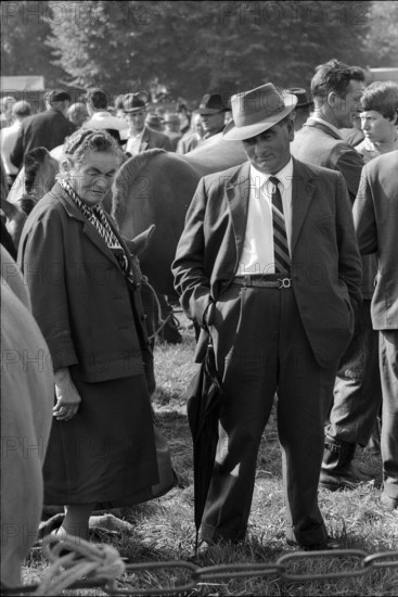 Horse market of ChaindonReconvilier, 1969