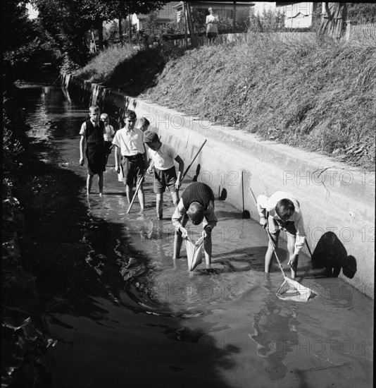 Boys catching fish with a net, Aarau 1944