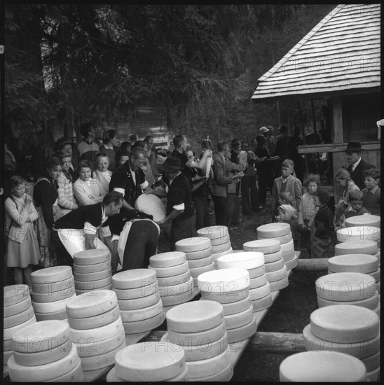 Cheese sharing in the Justistal, 1958