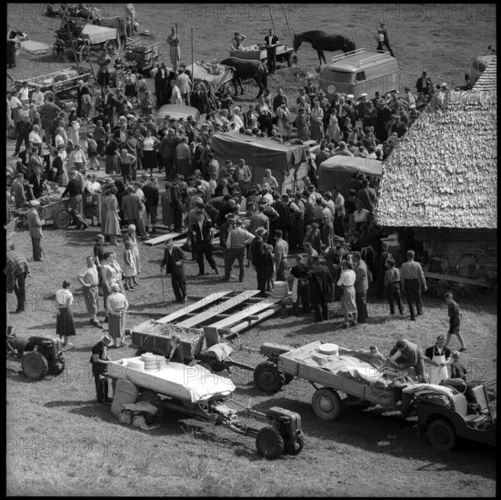 Cheese sharing in the Justistal, 1958