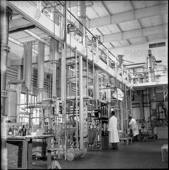 Laboratory internship, Chemistry Institute of ETH Zurich 1955
