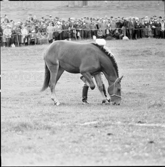 62nd MarchéConcours Saignelégier, Dubail with Toutebelle, 1965