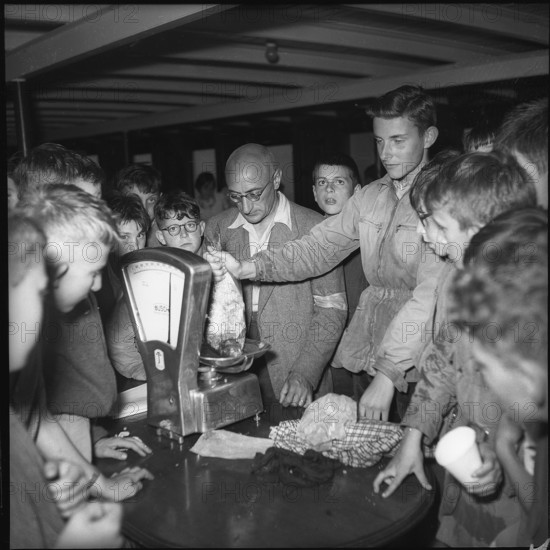 1700 Zurich children at a fishing competition in Rapperswil, Arbitration Court 1953