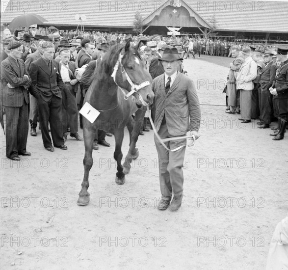 40th MarchéConcours Saignelégier, demonstration, 1943